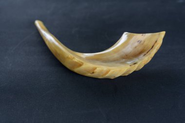 Siyah arka planda Shofar boynuzu.