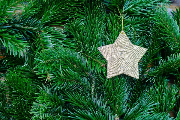 Κλείσιμο Του Φόντου Των Κλαδιών Χριστουγεννιάτικων Δέντρων Και Του Χρυσού — Φωτογραφία Αρχείου