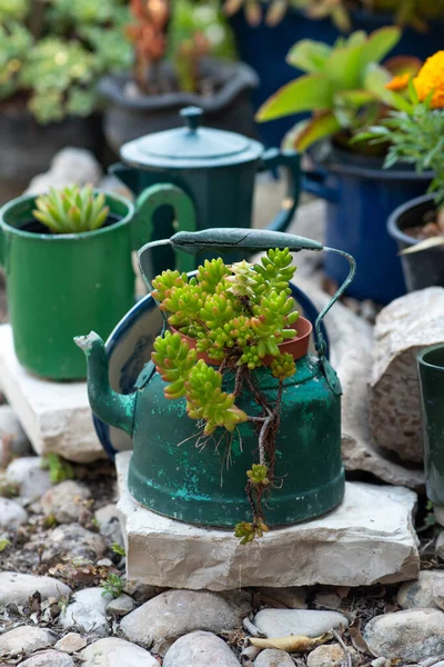 Wiederverwendete Pflanzideen Gebrauchte Wasserkocher Töpfe Alte Teekannen Verwandeln Sich Gartenblumentöpfe — Stockfoto