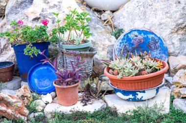 Bitki yetiştiricisi fikirlerini azalt, tekrar kullan, geri dönüştür.