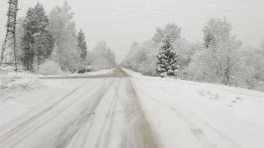 Kış ormanında boş bir yol