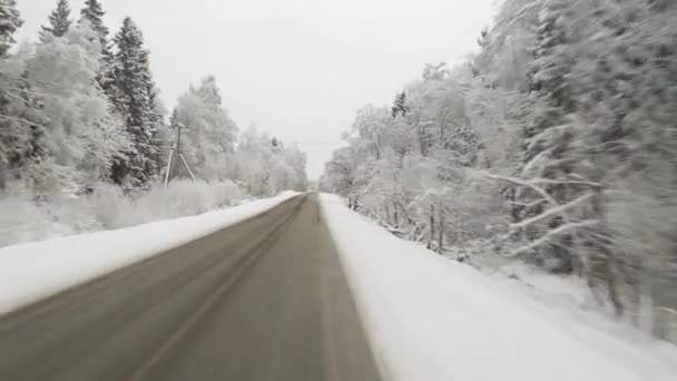 Estrada vazia na floresta de inverno — Vídeo de Stock