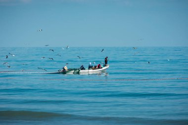 Mavi denizin ortasında gün içinde martılarla balık avlayan balıkçılar..