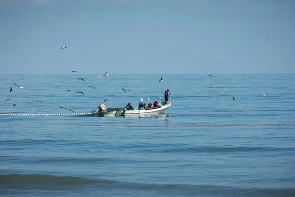 Pescador Pescando Meio Mar Azul Com Gaivotas Voando Durante Dia — Fotografia de Stock