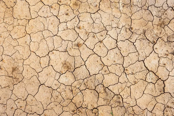 Suelo seco marrón o fondo de textura de suelo agrietado. — Foto de Stock