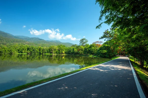 Ao longo da vista paisagem estrada em Ang Kaew Chiang Mai University Fore — Fotografia de Stock