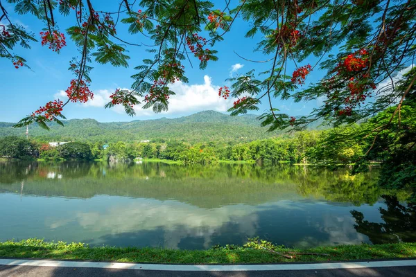 Ang Kaew Chiang Mai Üniversitesi Fore yol manzara boyunca — Stok fotoğraf