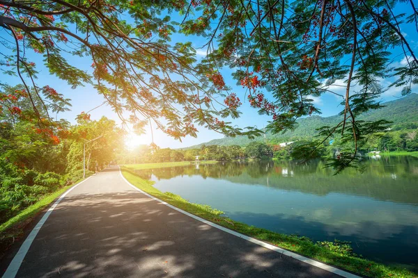 沿道路景观景观在昂开清迈大学前 — 图库照片