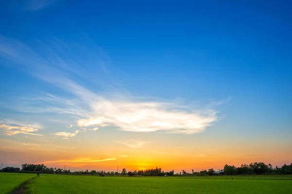 Текстура Синього Неба Фону Білими Хмарами Захід Сонця Красиве Зелене — стокове фото