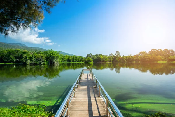 Sepanjang Pemandangan Pemandangan Jalan Universitas Ang Kaew Chiang Mai Hutan — Stok Foto