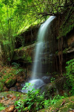 Phitsanulok, Tayland Phuhinrongkla Milli Parkı Nakhon Tay Bölgesi Tropikal Yağmur Ormanı Manzara Sai Fon (Saifon) Şelale.