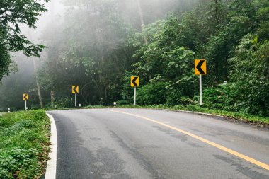 Yağmur ormanı doğa ormanı ve sisli yol ile Yol.