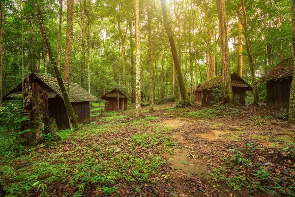 Oude Groene Hut Houten Politieke Militaire School Phuhinrongkla Nationaal Park — Stockfoto