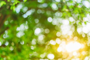 Çemberli yeşil bokeh arka plan. Yaz soyut teması.