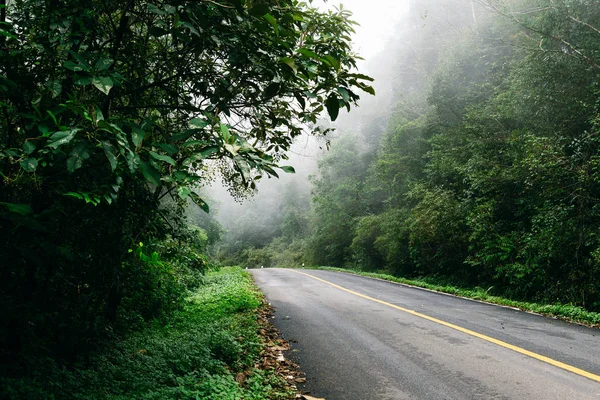 Camino Con Bosque Natural Camino Nublado Bosque Lluvioso —  Fotos de Stock