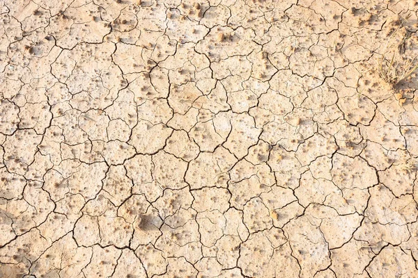 Suelo seco marrón o fondo de textura de suelo agrietado. — Foto de Stock