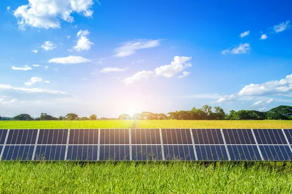 Sonnenkollektoren auf Maisfeld und Reis wieder goldgelbe Landschaft — Stockfoto