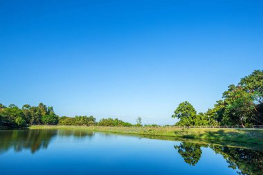 yol görünümü rezervuar yeşil ağaç ve mavi gökyüzü arka plan.