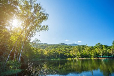 ile dağ ve rezervuar mavi gökyüzü arka plan ile yeşil ağaç 