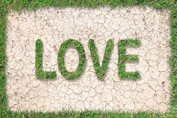 Kärleks text med grönt gräs växer på brun torr mark eller spruckna — Stockfoto