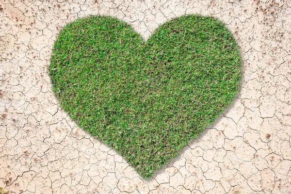Hjärtformade gröna gräset växer på brun torr mark eller spruckna gr — Stockfoto