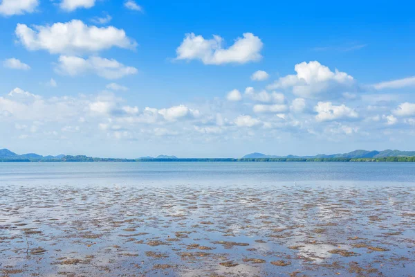 森林红树林和大海在昌塔布里特海尔的地平线 — 图库照片