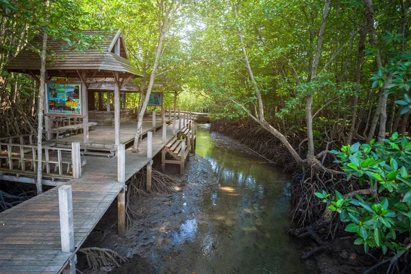 Brücke hölzerner Fußweg im Mangrovenwald in chon buri pr — Stockfoto