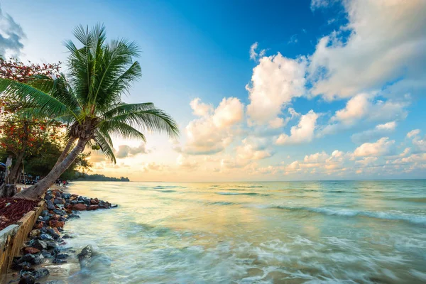 Beautiful early morning sunrise over Coconut tree with the sea t — Stock Photo, Image