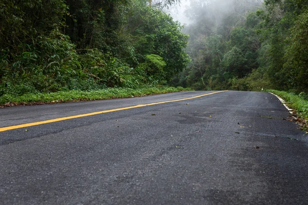 Estrada com floresta da natureza e estrada nebulosa da floresta tropical . — Fotografia de Stock