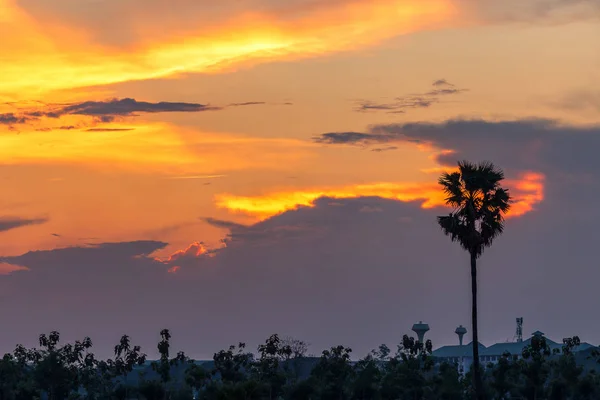 Piękny zachód słońca z palmami sylwetka na zmierzchu nieba — Zdjęcie stockowe