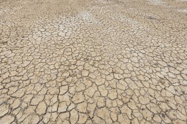 Kahverengi kuru toprak veya çatlak zemin dokusu arkaplanı.