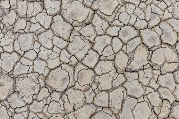 Suelo seco marrón o fondo de textura de suelo agrietado. — Foto de Stock