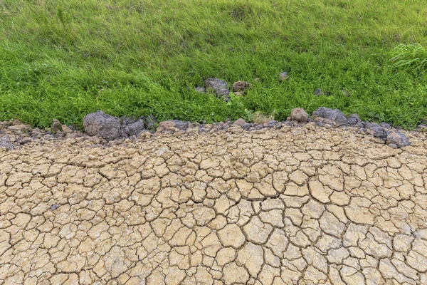Sol brun sec ou texture de sol fissuré avec champ de maïs vert ba — Photo