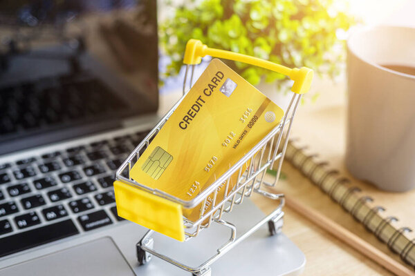 Credit card in Shopping cart with laptop,notebook,flower pot tre