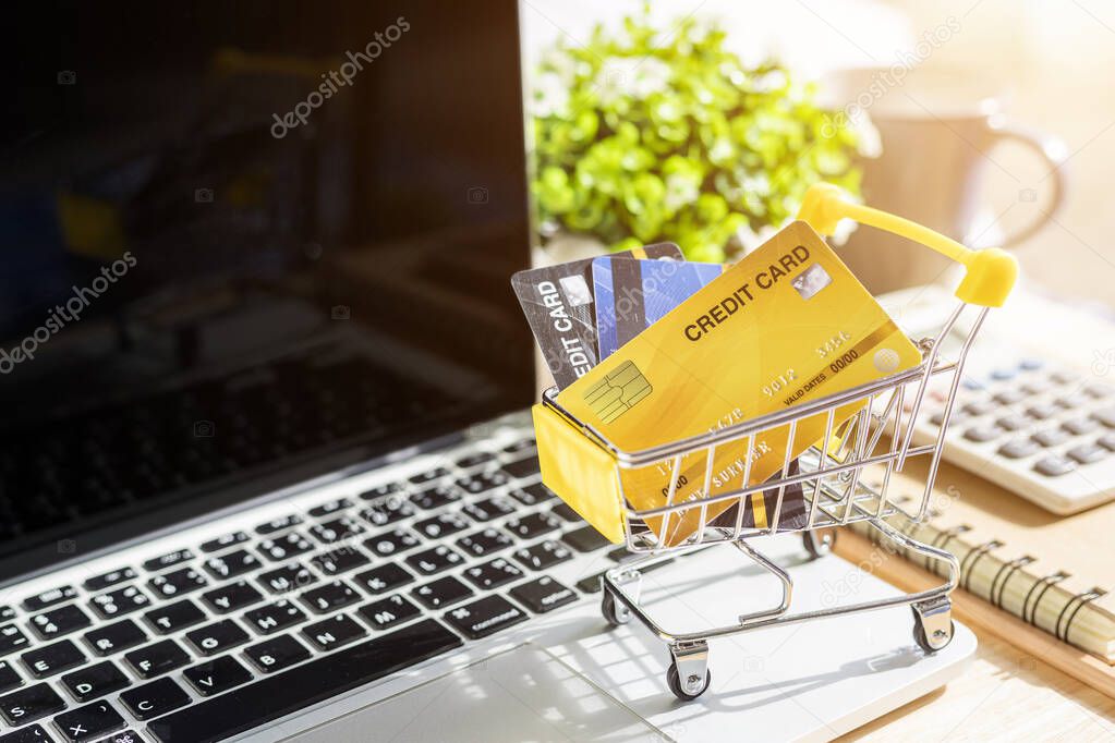 Credit card in Shopping cart with notebook,a pencil,flower pot t