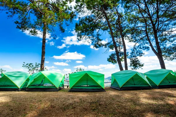 Tourist holiday in forest summer camp among meadow on Mountain,recreation and outdoor concept