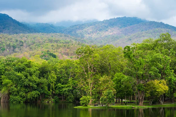 Maisema Järvi Näkymät Ang Kaew Chiang Mai University Luonnossa Metsä — kuvapankkivalokuva