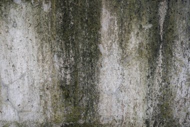 Soyut, eski, karanlık, yosunlu, beton, duvar dokusu, fotokopi alanı arka planı