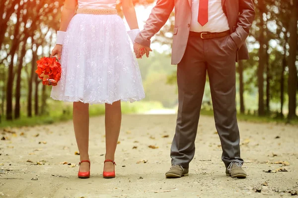 Just Married Couple Holding Hands — Stock Photo, Image