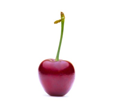 beyaz arka plan yakın çekim bir kiraz