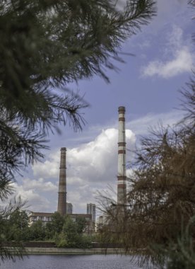 şehir içinde iğne ağacı şube fabrika boruları yaz aylarında su ve ağaçların yakınında hava kirleten