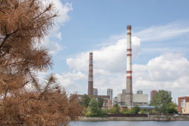 şehir içinde iğne ağacı şube fabrika boruları yaz aylarında su ve ağaçların yakınında hava kirleten