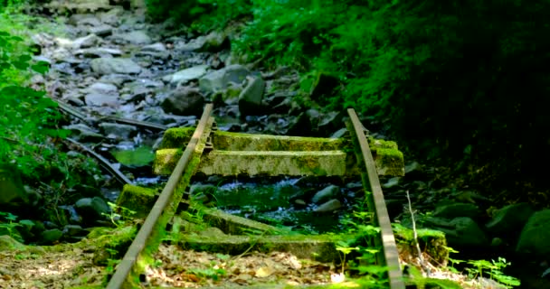 Ein Bahngleis wurde im Wald im Zuge des Hochwassers beschädigt — Stockvideo