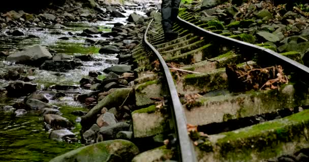 Un turista camina por caminos forestales abandonados — Vídeos de Stock