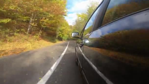 Close Car Tire Spinning While Driving Bright Autumn Forest Sunny — Stock Video