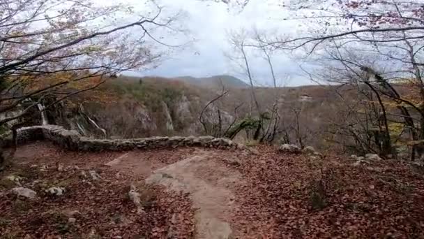 Caminando por el bosque de montaña cerca del lago,. Vista desde los lagos de Plitvice. 4k — Vídeos de Stock