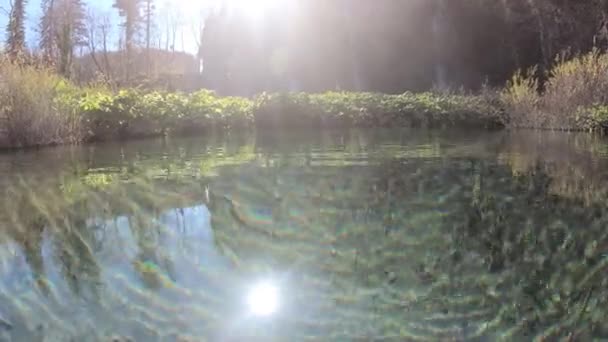 Рибний купання в Плітвіцькі озера — стокове відео
