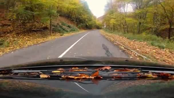 Φθινοπωρινά Φύλλα Στο Παρμπρίζ Του Αυτοκινήτου Στην Κίνηση — Αρχείο Βίντεο