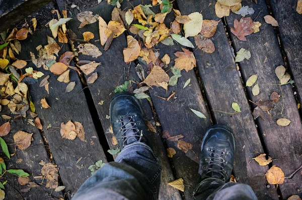 Primo piano di scarponi da trekking nei boschi autunnali — Foto Stock
