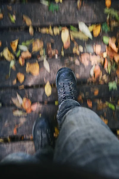 Detailní záběr turistických bot v podzimních lesích — Stock fotografie